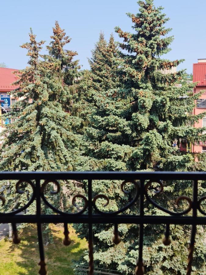 Hotel Villa Sofia Truskaveț Exterior foto